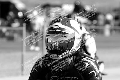 media/Feb-23-2025-2WTD (Sun) [[9604a77d5d]]/1-Around the Pits/